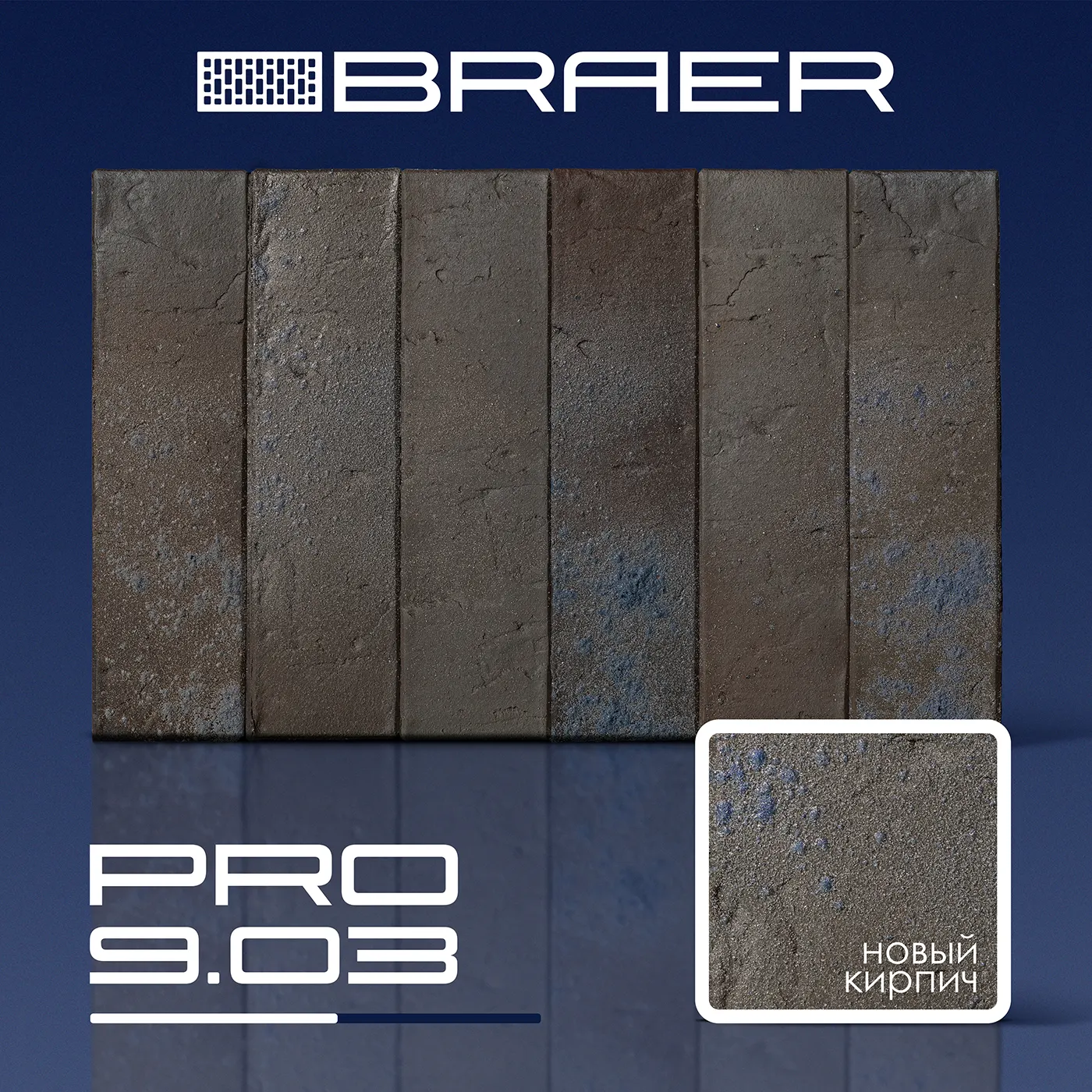 Новинка - BRAER PRO 9.03