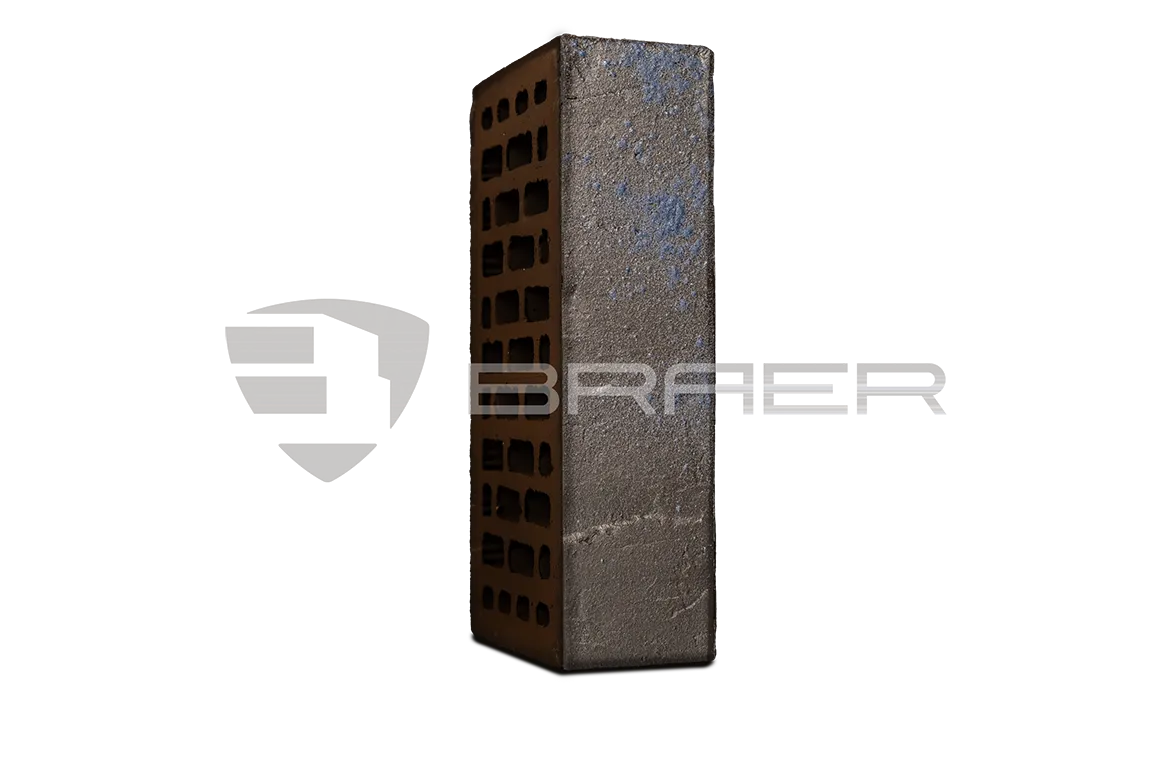 BRAER PRO 9.03