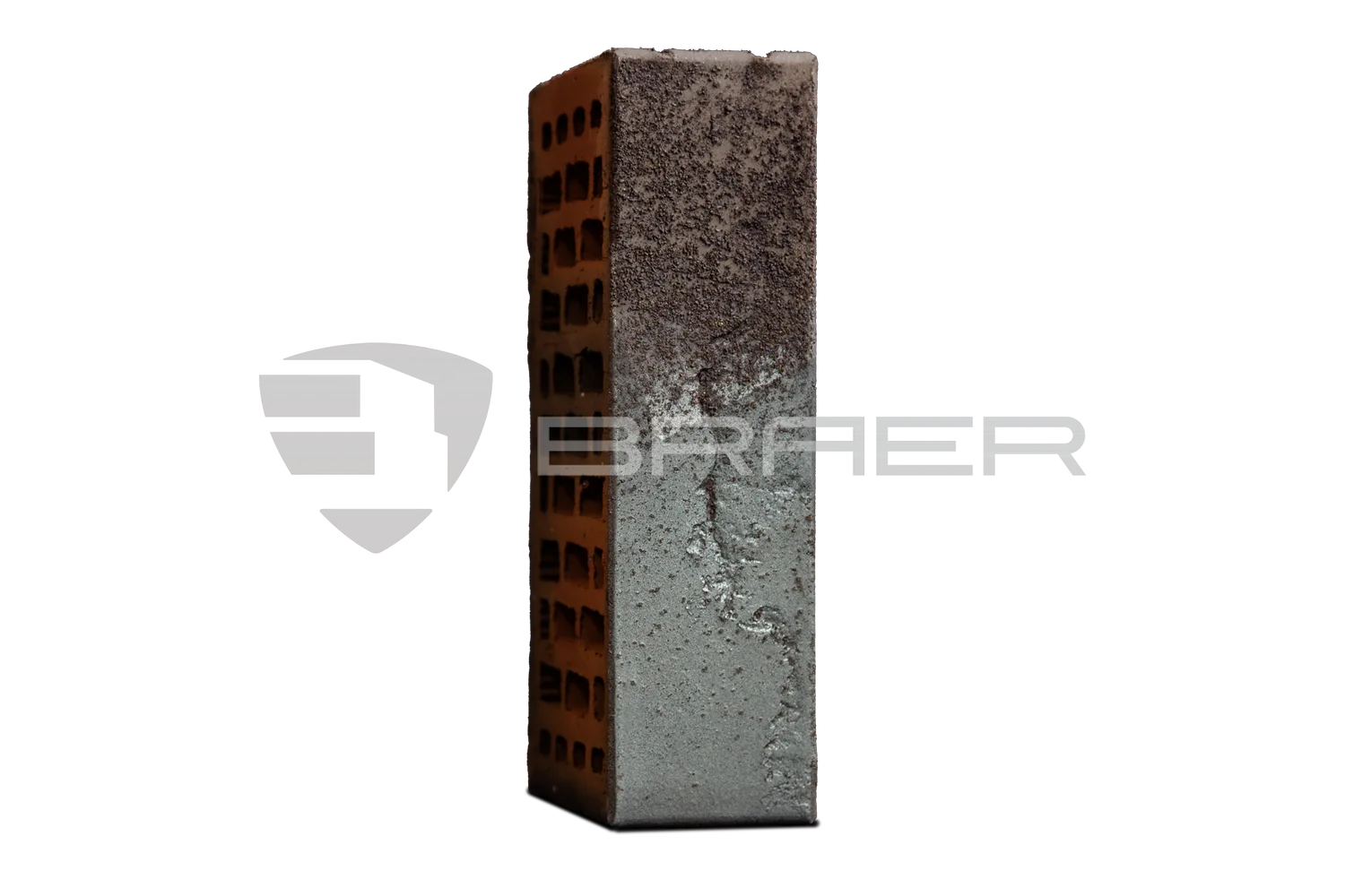 BRAER PRO 10.11