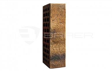 Облицовочный кирпич BRAER PRO 3.03 1 - 0