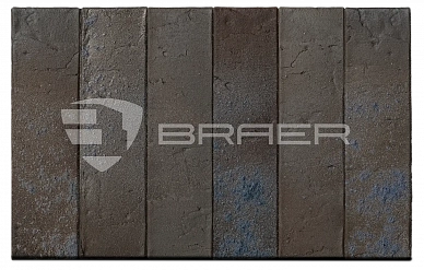BRAER PRO 9.03 - 1